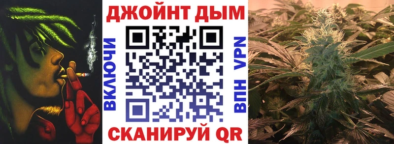 Бошки марихуана Amnesia  Любань 